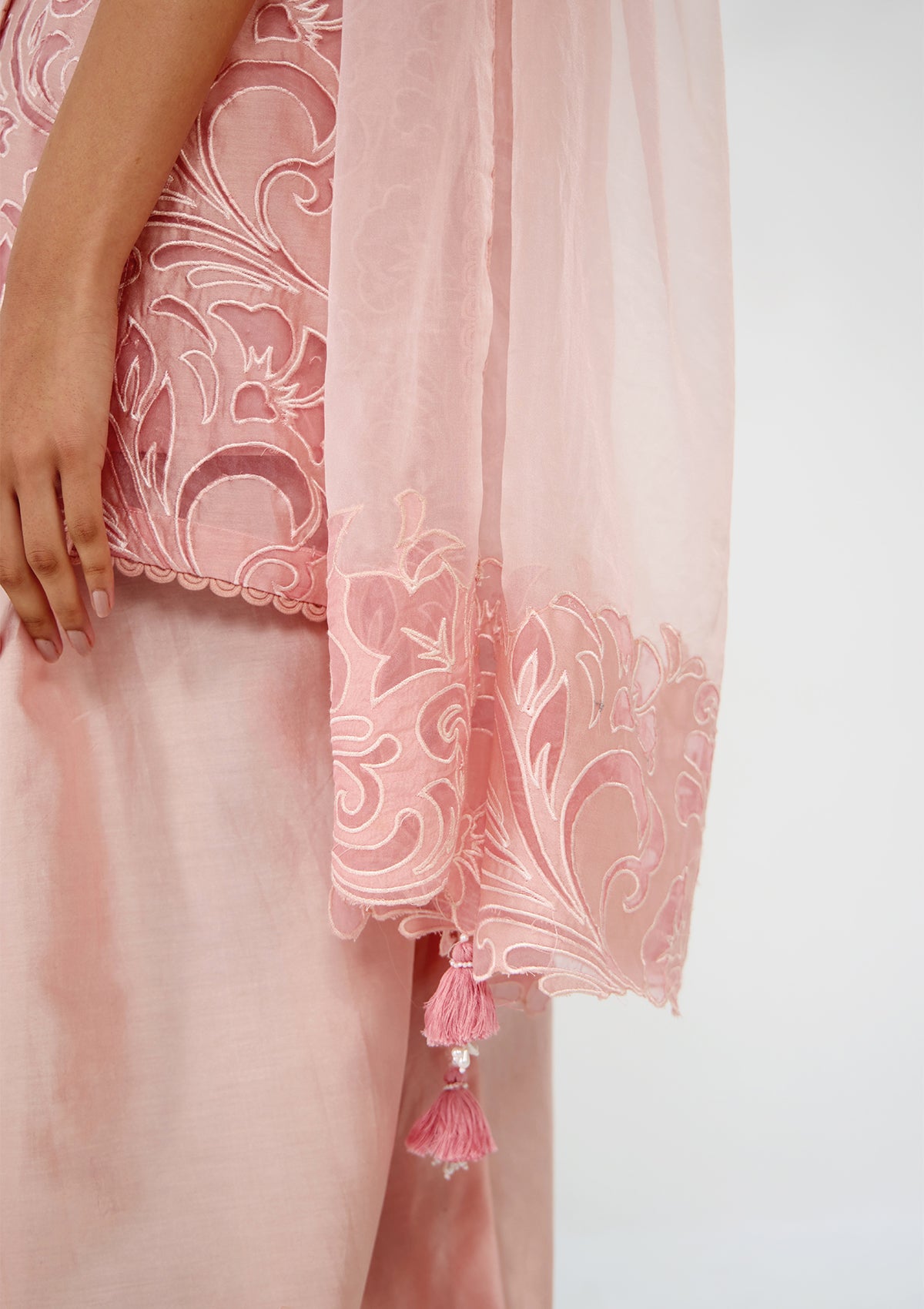 Blush Applique Embroidered Farshi Set