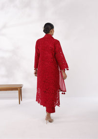 Ruby Applique Embroidered Kurta Set
