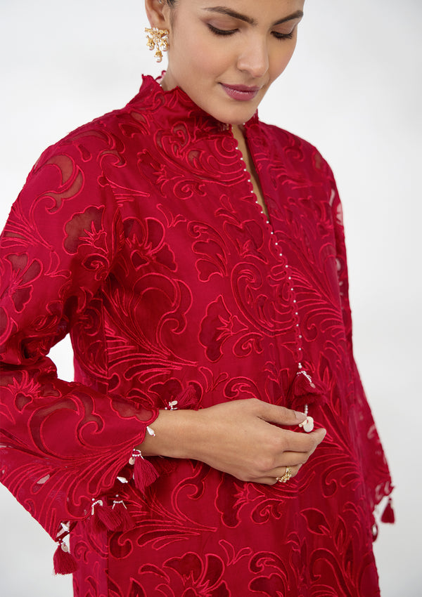 Ruby Applique Embroidered Kurta Set