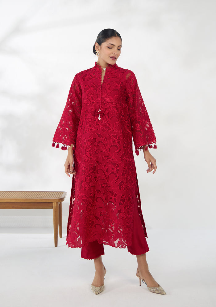 Ruby Applique Embroidered Kurta Set