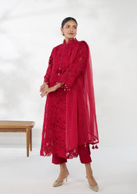 Ruby Applique Embroidered Kurta Set