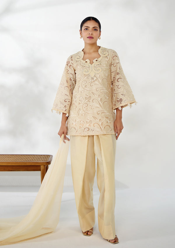 Ivory Applique Embroidered Farshi Set