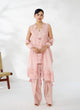 Blush Applique Embroidered Farshi Set