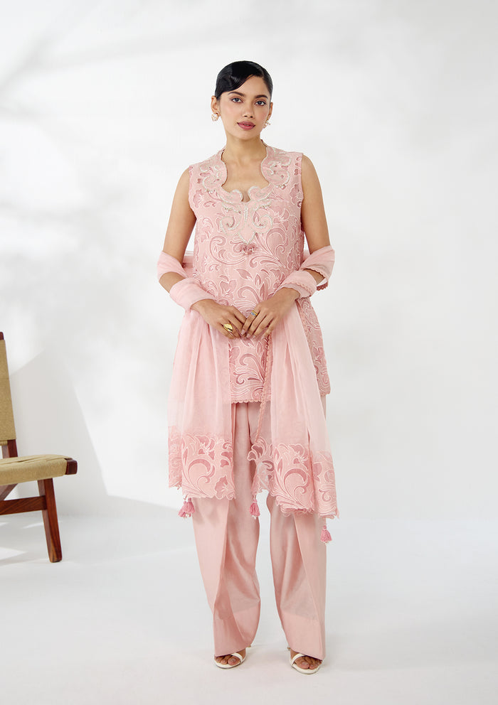 Blush Applique Embroidered Farshi Set