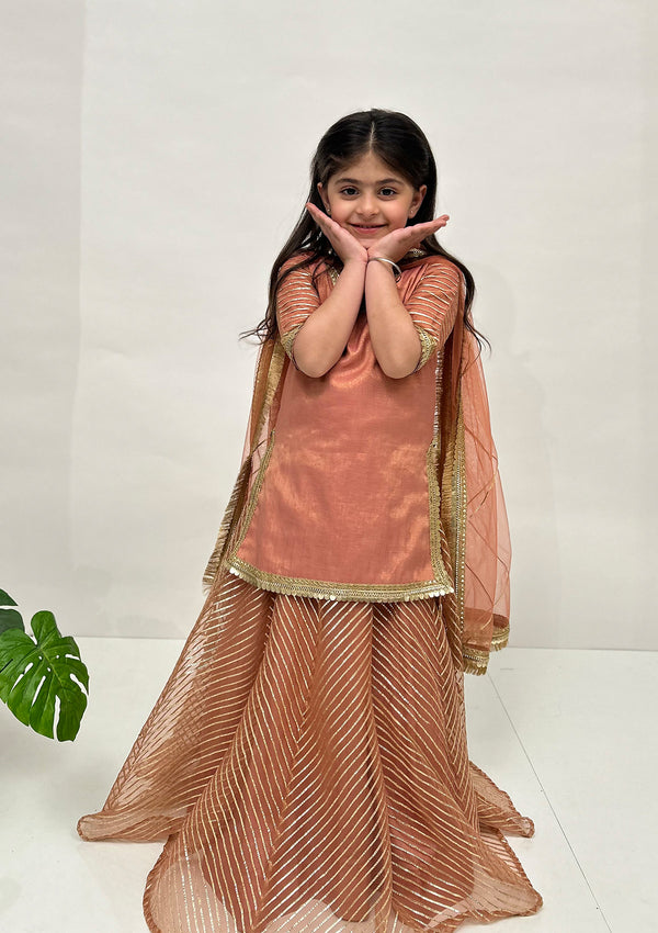 Kids Blush Gota Lehenga Set