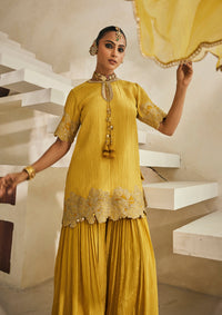 Amber Hyderabad Gharara Set