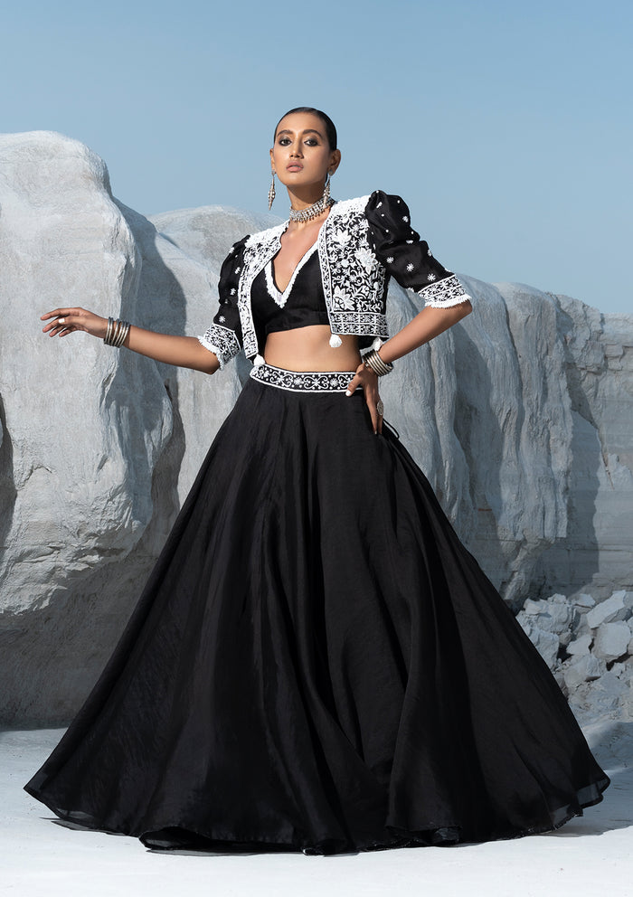 Black Organza Lehenga Set