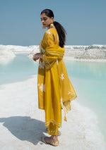 Zahra Amber Kurta Set