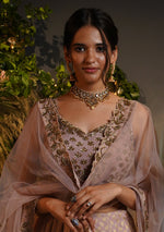 Blush Embroidered Lehenga Set