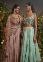 Blush Embroidered Lehenga Set