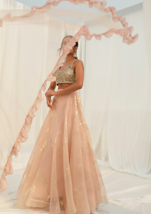 Blush Ruffled Dupatta Lehenga