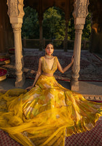 Khizan Amber Embroidered Lehenga Set