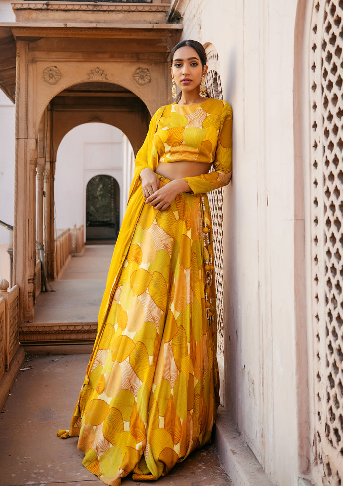 Khizan Amber Lehenga Set