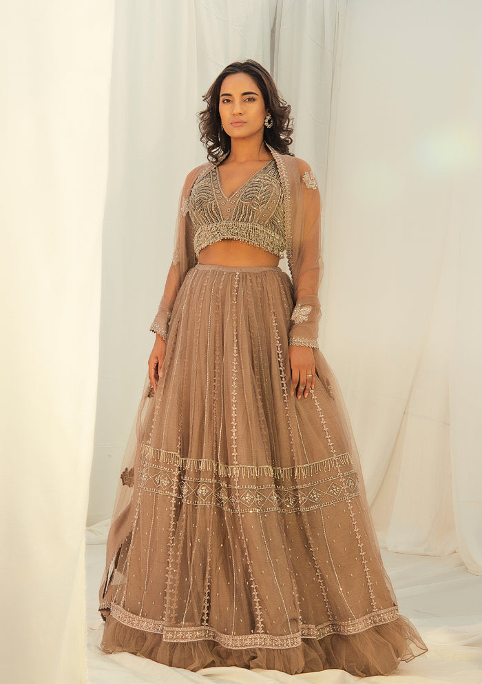 Taupe Embroidered Lehenga Set